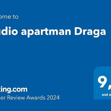 Studio Apartman Draga Velika Ludina Extérieur photo